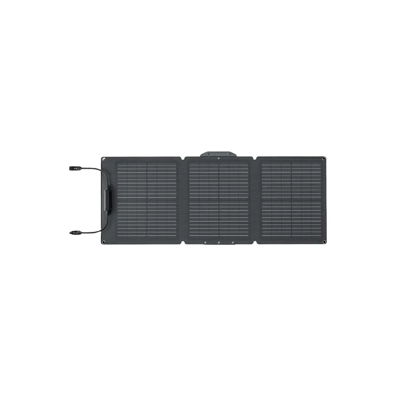 EcoFlow Solpanel 60 W