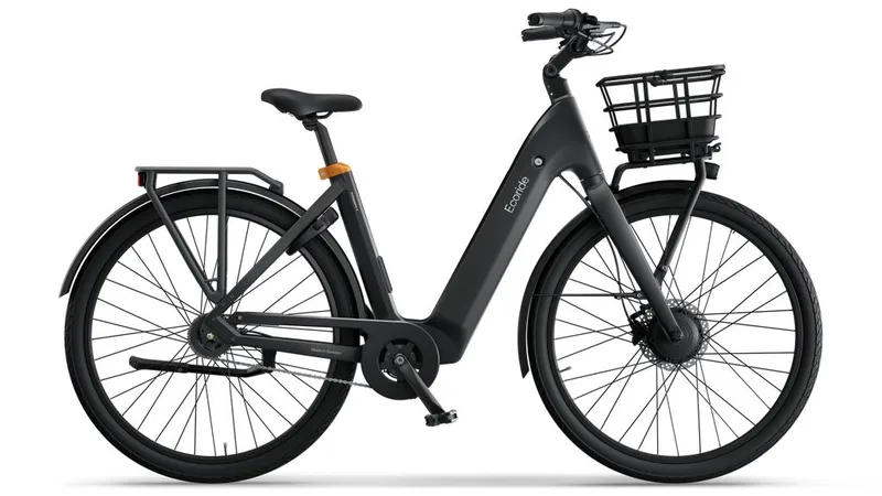 Ecoride Ambassador 4