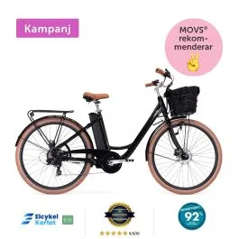 Lifebike Comfort G12