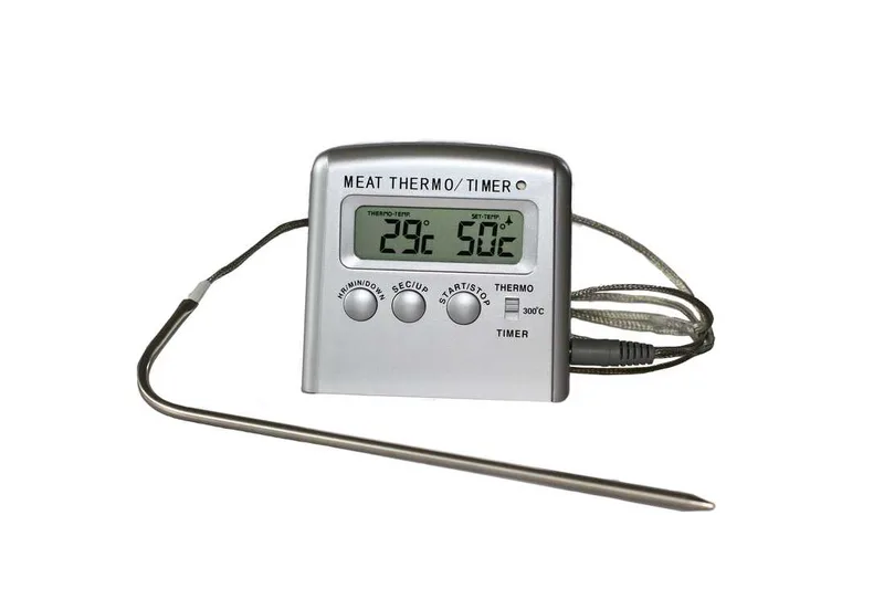 Bäst i test Digital Stektermometer 2026