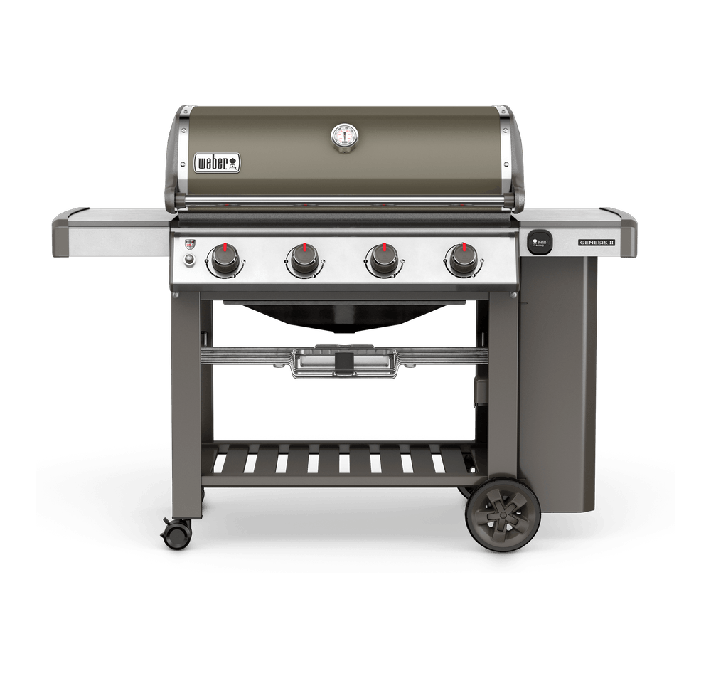 2. Weber Genesis II E-410 GBS